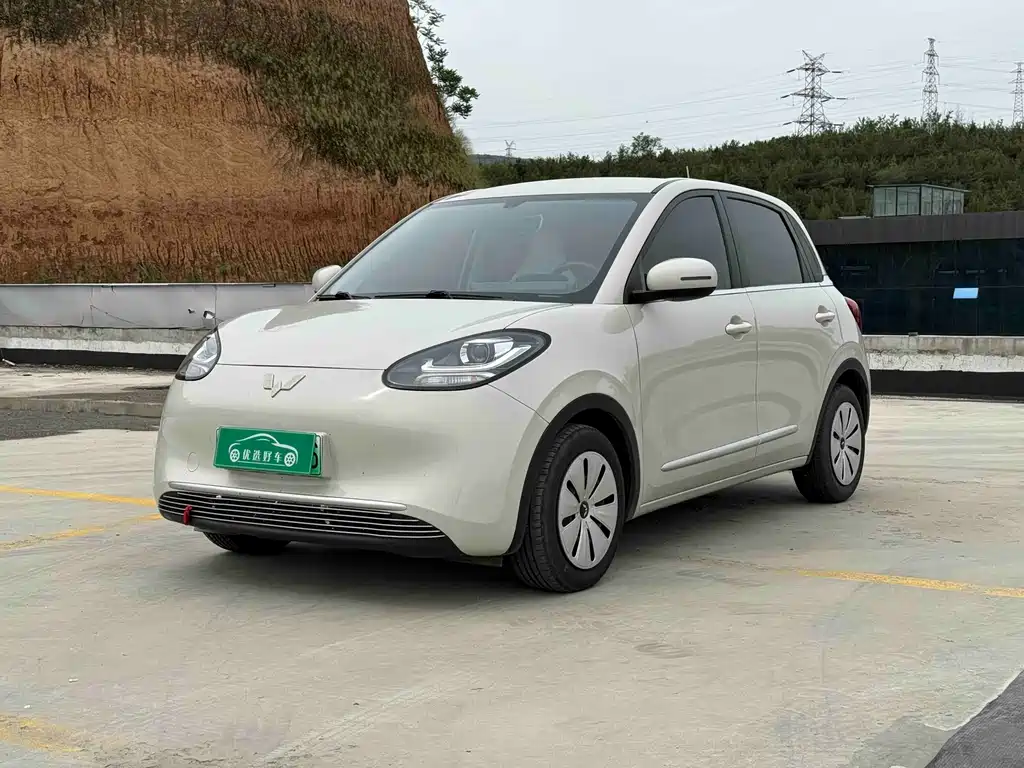 Wuling BinguoEV