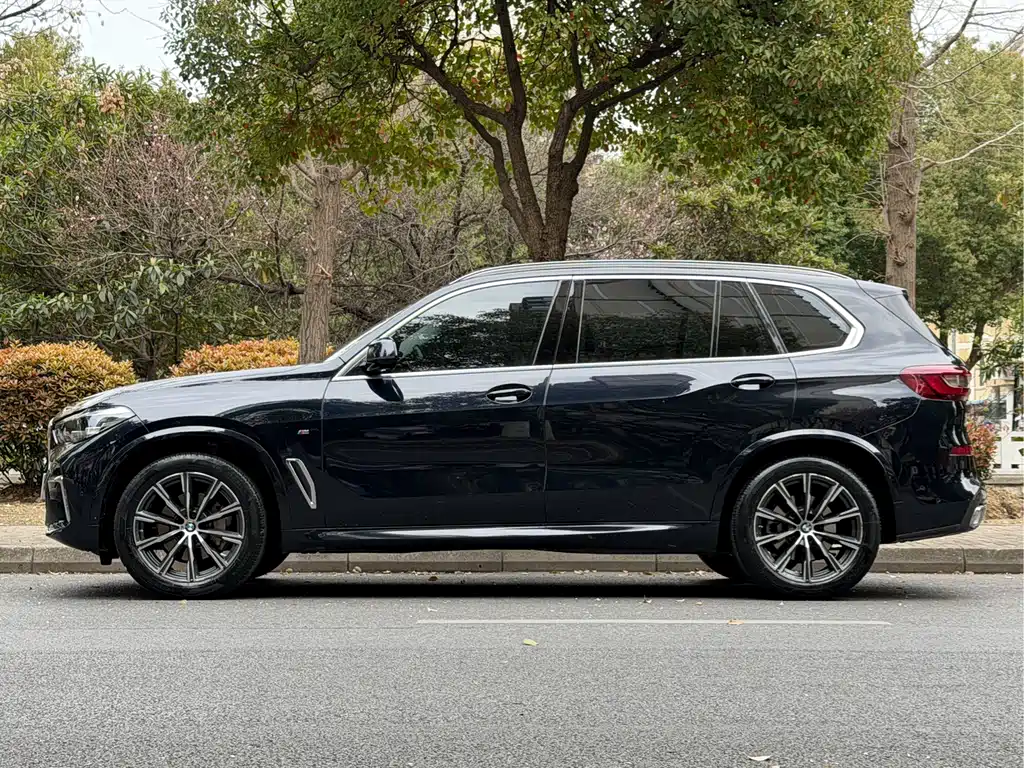 BMW X5 2022 xDrive 30Li M Sport Package