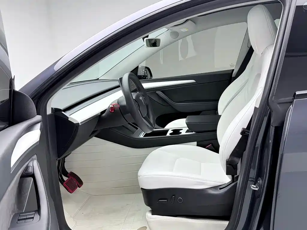 Model Y 2022 Rear-Wheel Drive Version