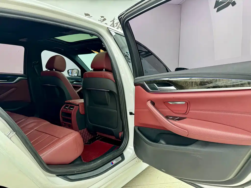 BMW 5 Series 2019 530Li M Sport