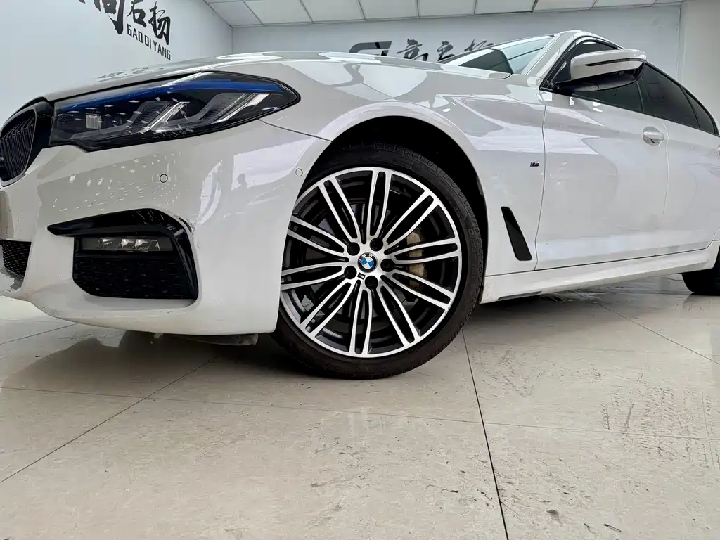 BMW 5 Series 2019 530Li M Sport