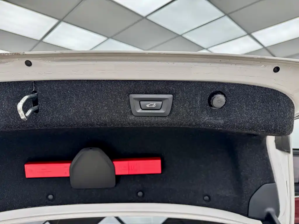 BMW 5 Series 2019 530Li M Sport