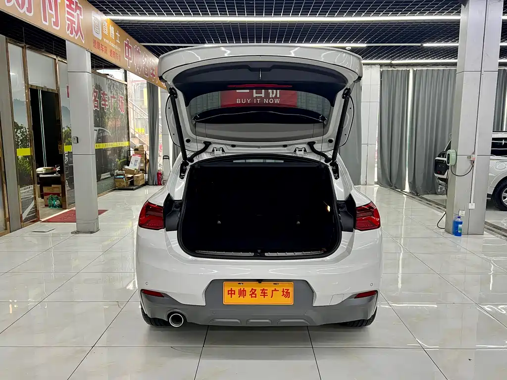 BMW X2 (import) 2019 sDrive20i M Off-Road Package China VI