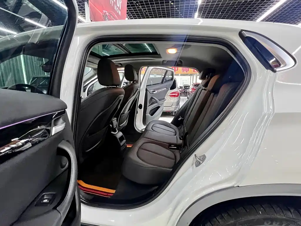 BMW X2 (import) 2019 sDrive20i M Off-Road Package China VI