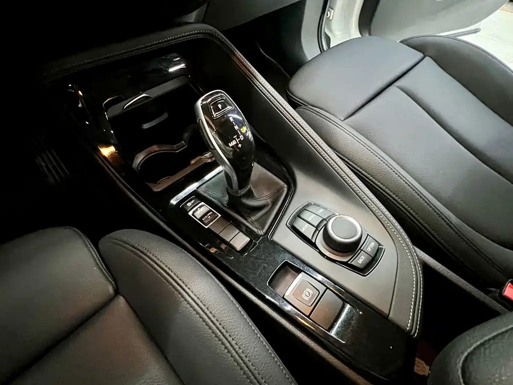 BMW X2 (import) 2019 sDrive20i M Off-Road Package China VI