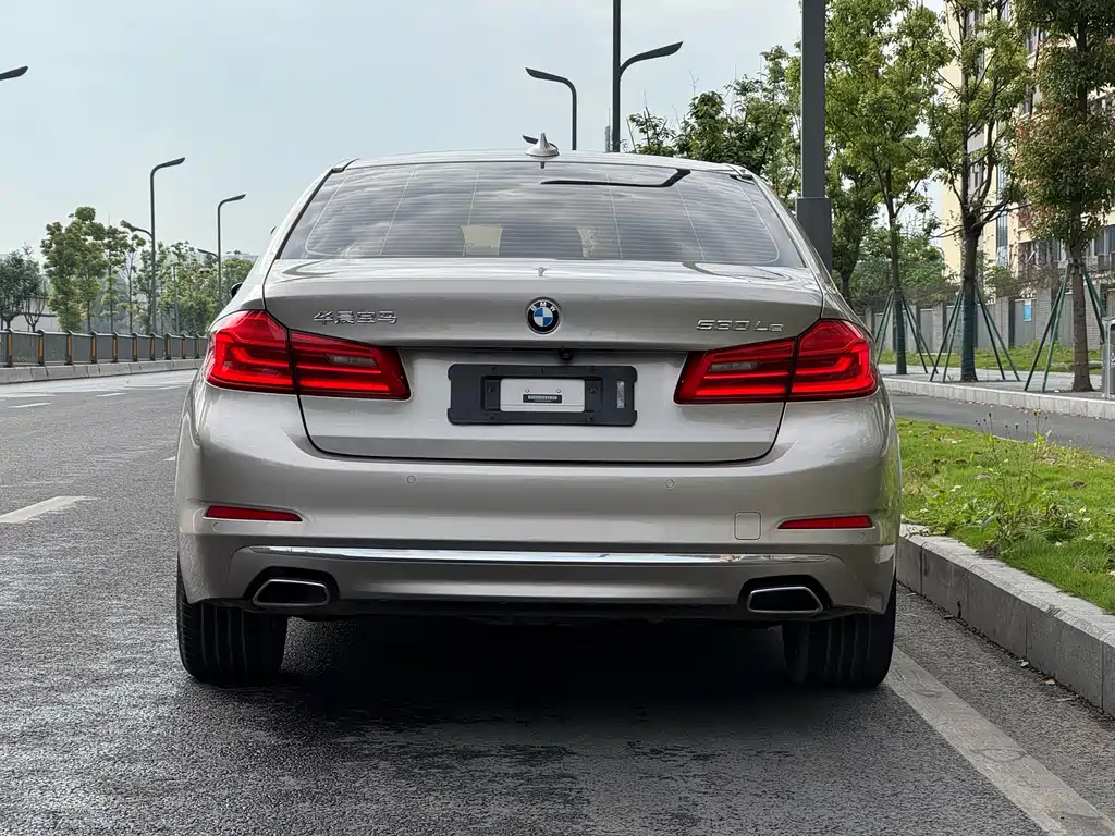 BMW 530Le 2020