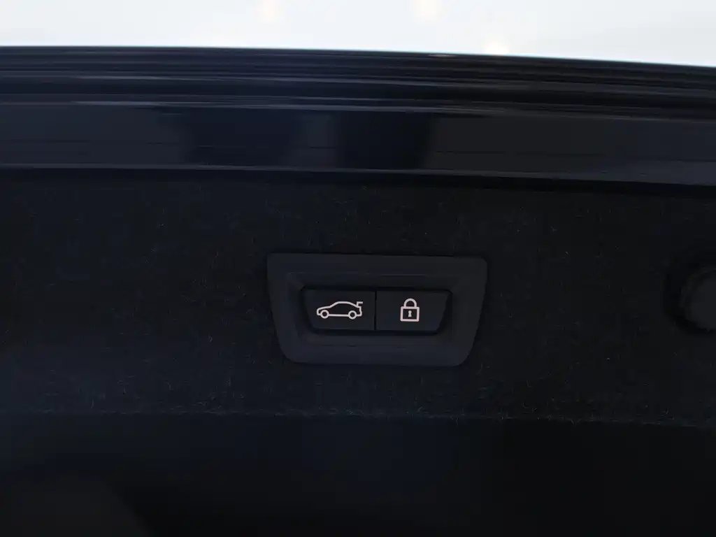 BMW 5 Series 530Li M Sport