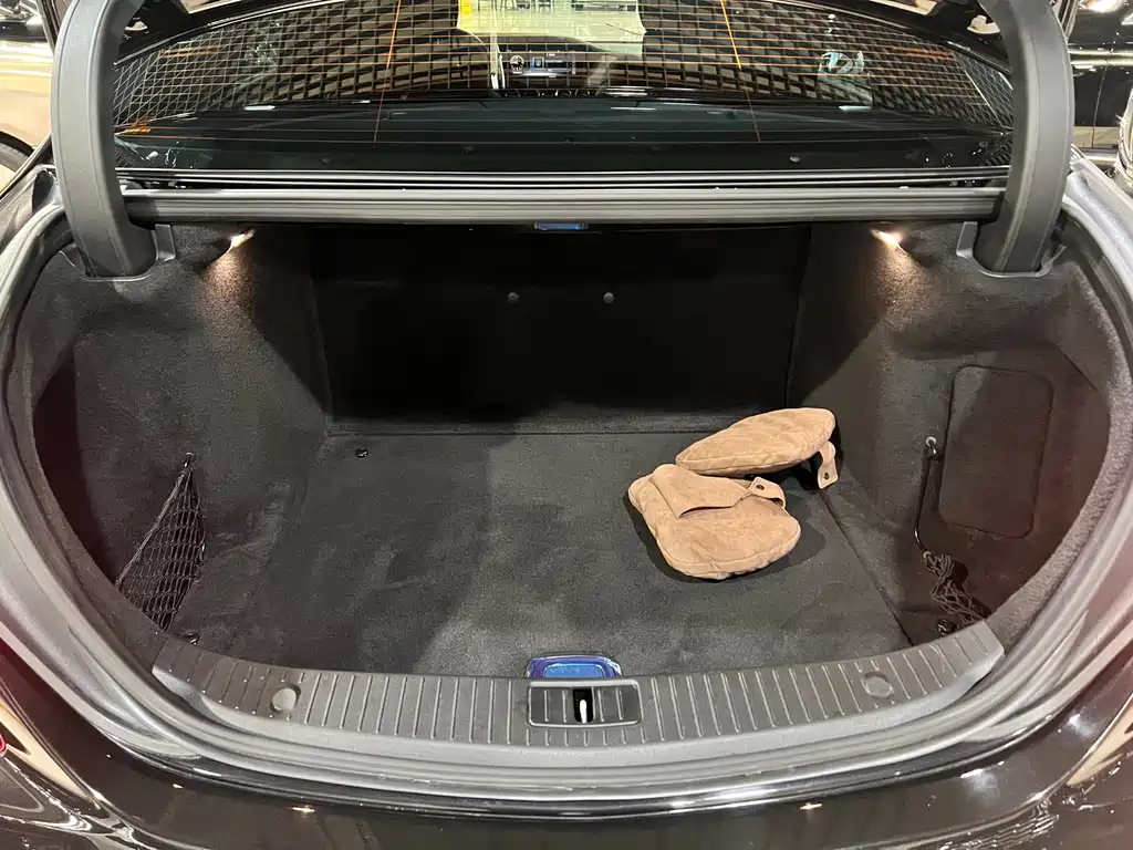 Mercedes-Benz S-Class 2020 S 450 L 4MATIC Zhenzang Edition