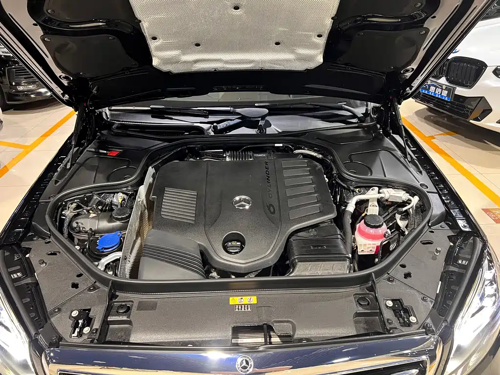 Mercedes-Benz S-Class 2020 S 450 L 4MATIC Zhenzang Edition