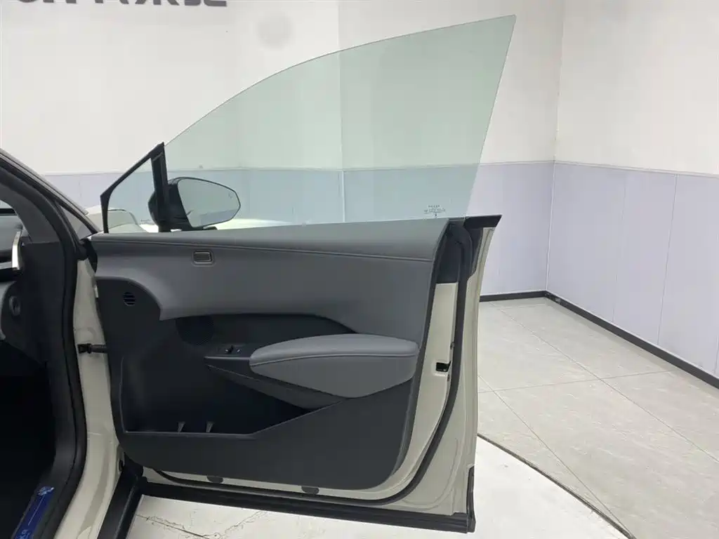 Zeekr X 2025 4-Seat RWD Magic Cube Edition