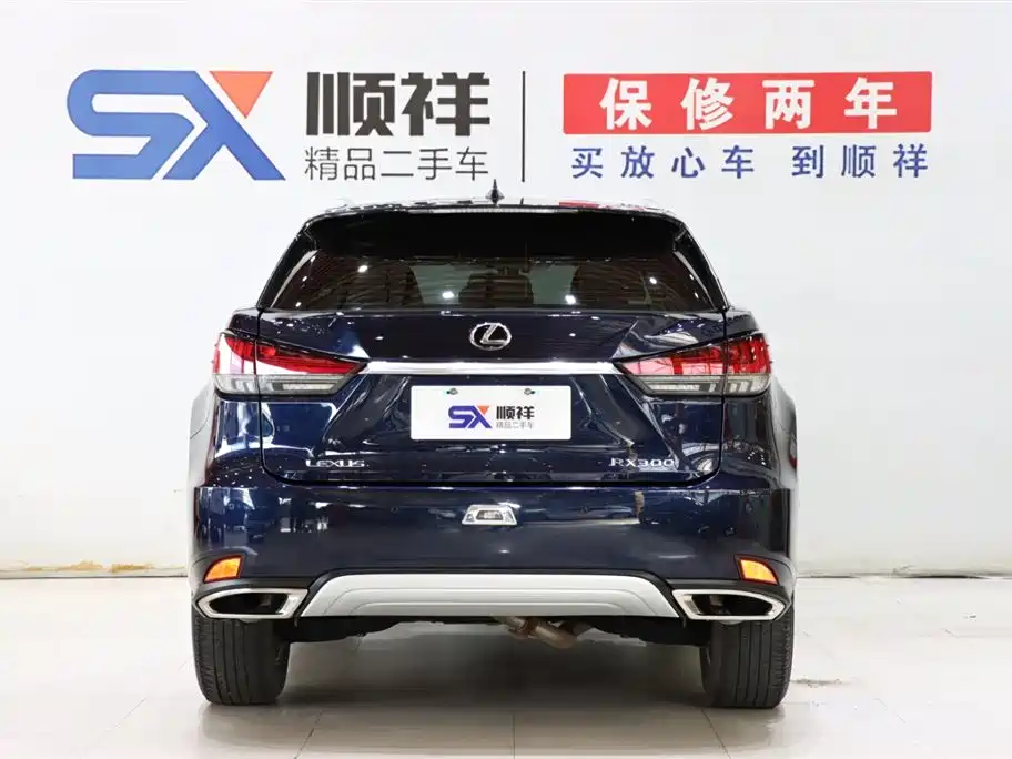 Lexus RX 300 FWD Elite Edition