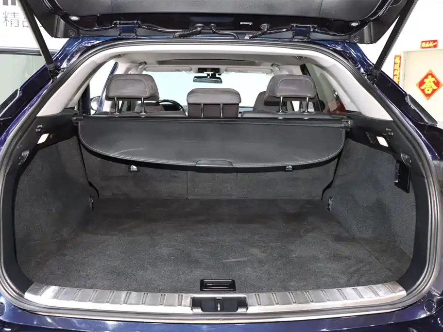Lexus RX 300 FWD Elite Edition