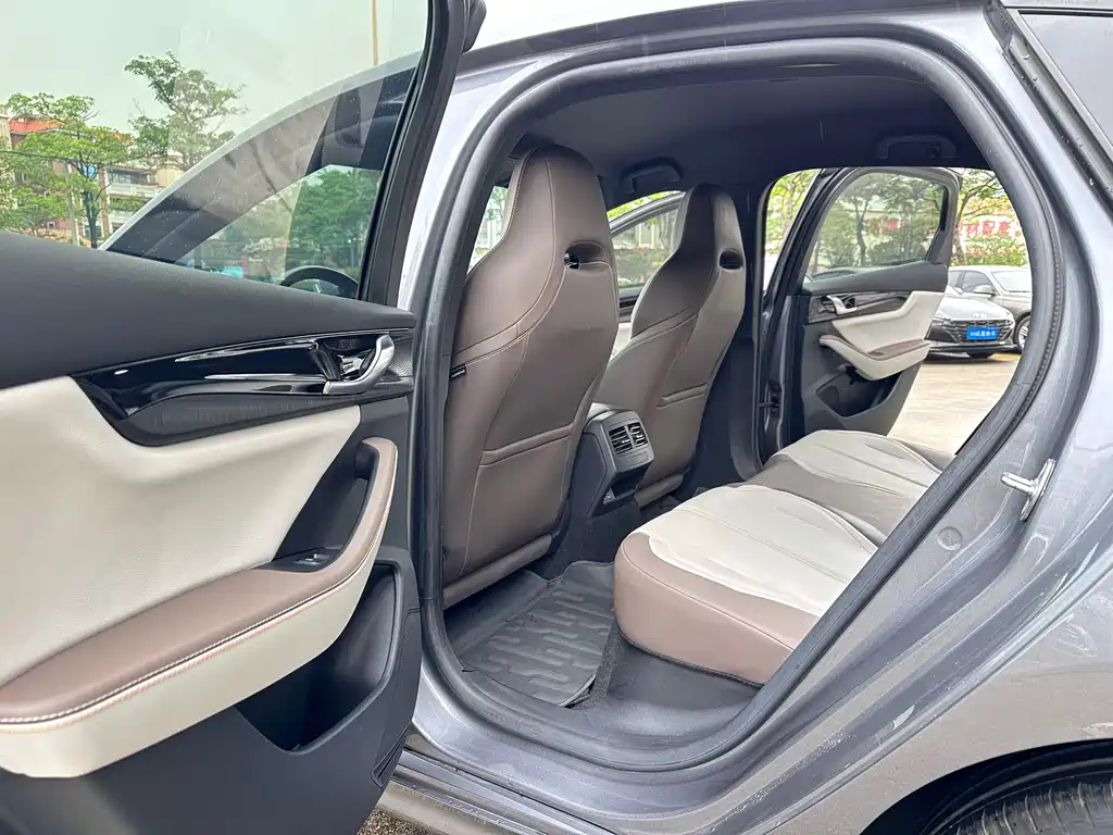 BYD Qin PLUS DM-i 55KM Leading Edition