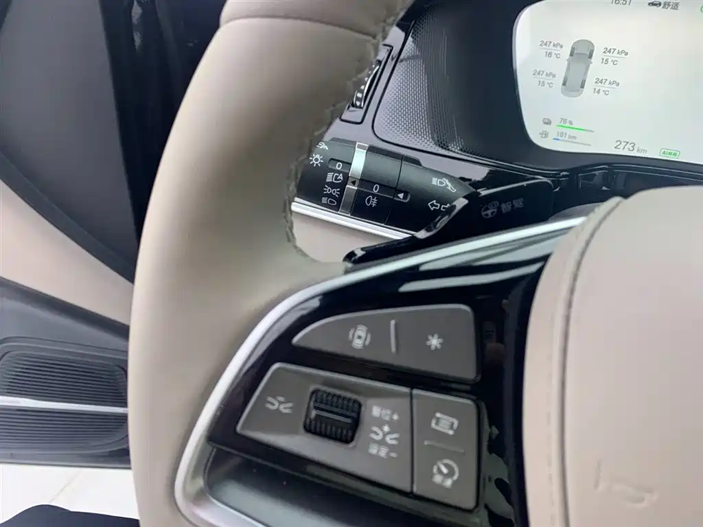 BYD Tang DM-i 115km Flagship (2025)