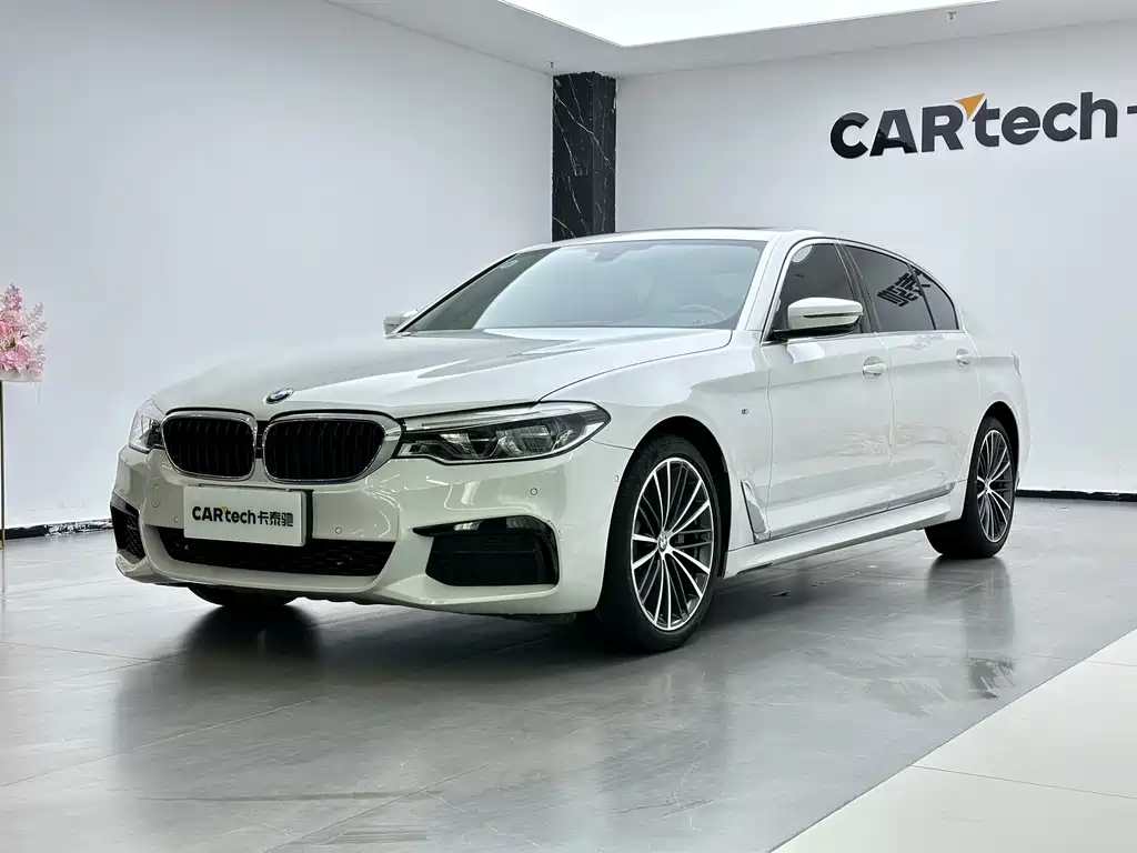 BMW 5 Series 2020 530Li Leading Model M Sport Package