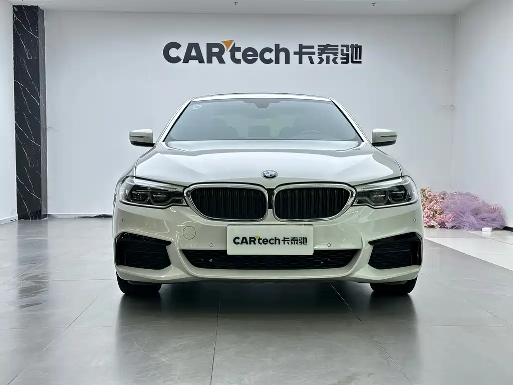 BMW 5 Series 2020 530Li Leading Model M Sport Package