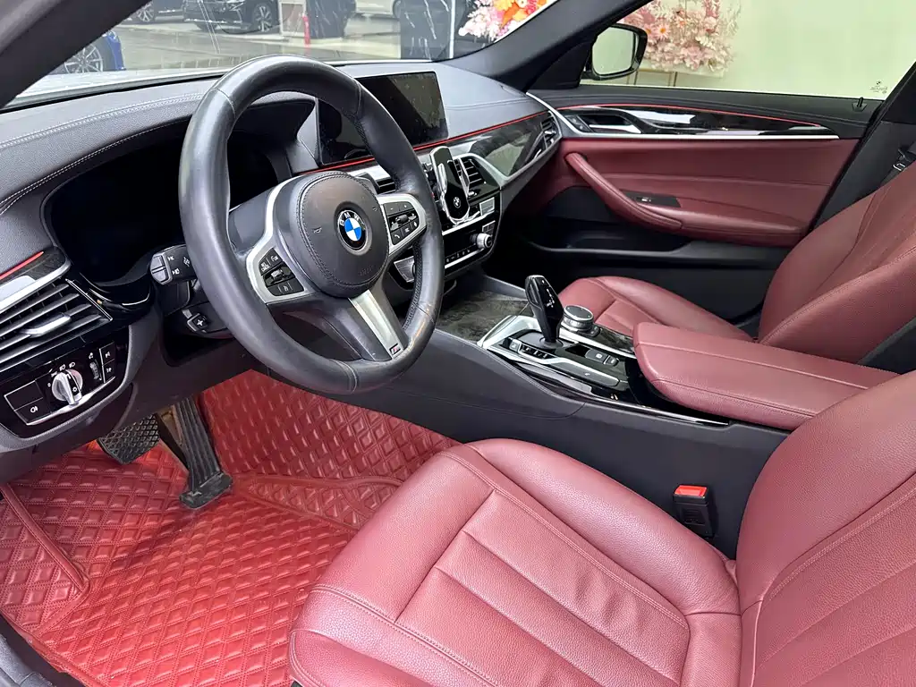 BMW 5 Series 2020 530Li Leading Model M Sport Package