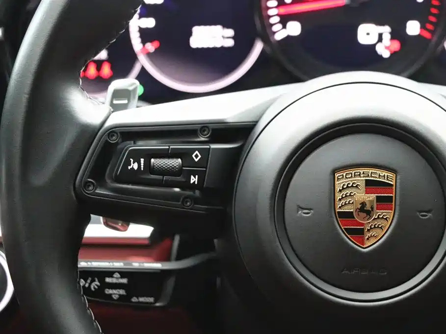 Porsche Panamera 2023 Panamera 2.9T Platinum Edition