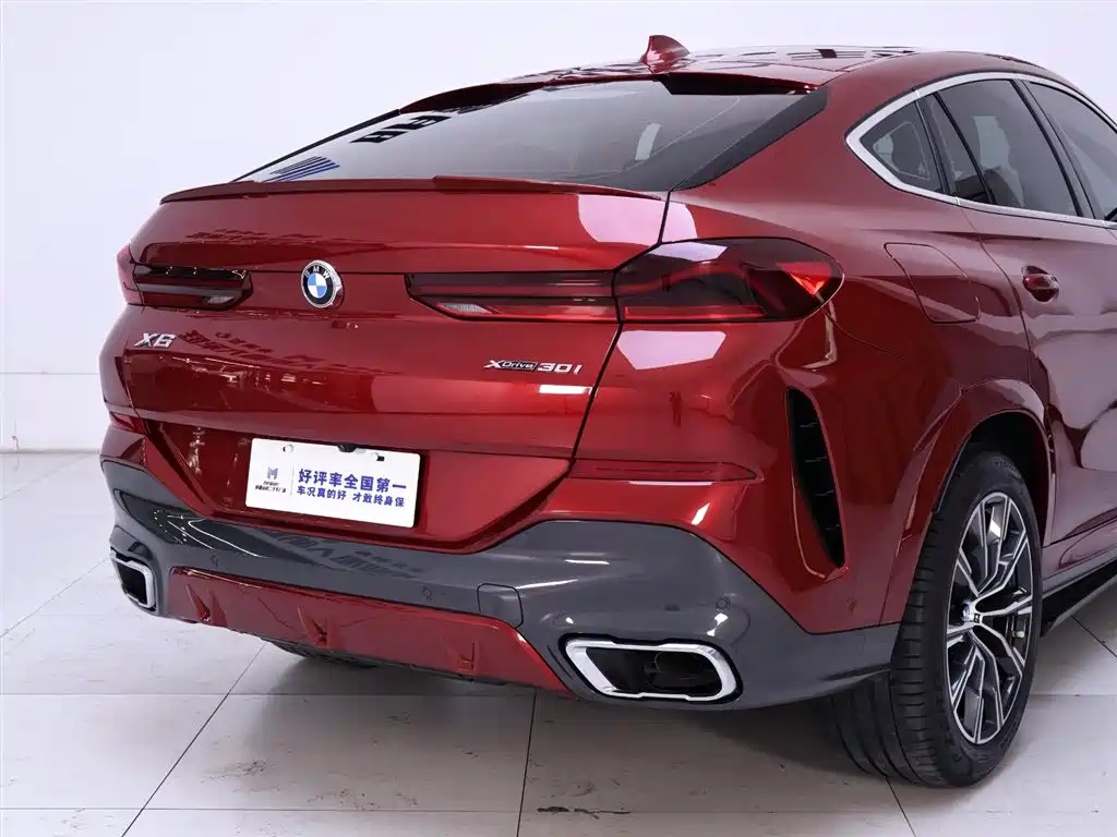 BMW X6 2020 xDrive30i M Sport Package