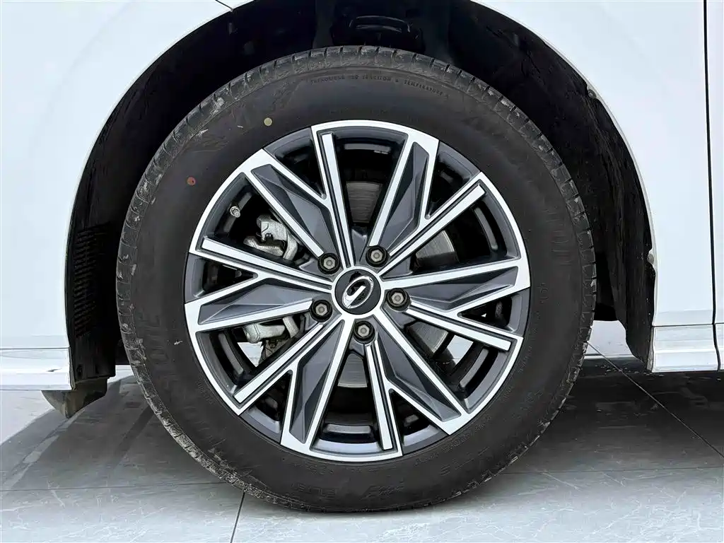 GAC Trumpchi M8 2024 Lingxiu Series 390T Exclusive Edition