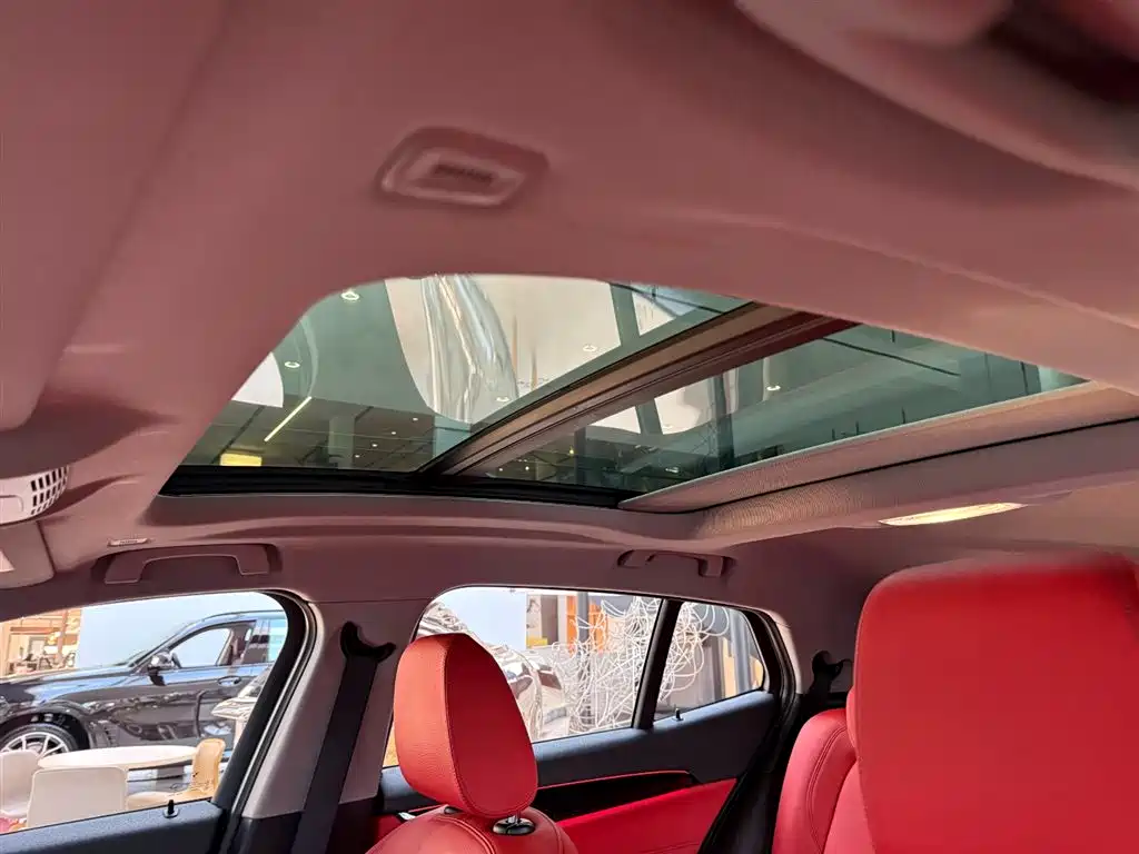BMW X2 2023 sDrive25i M Sport Night Edition