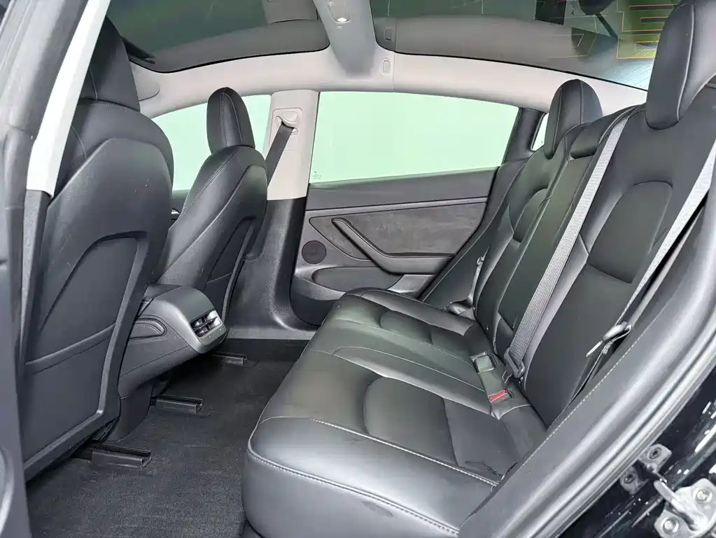 Tesla Model 3 2023 Rear-Wheel Drive