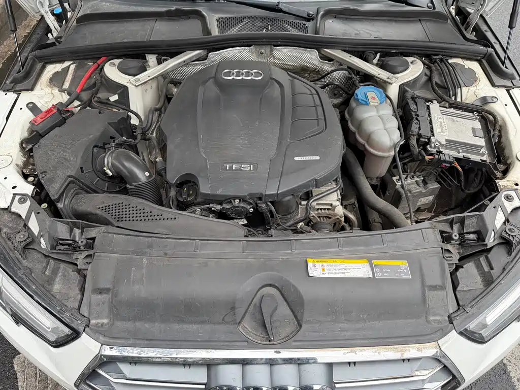 Audi A4L 2019 40 TFSI Fashion