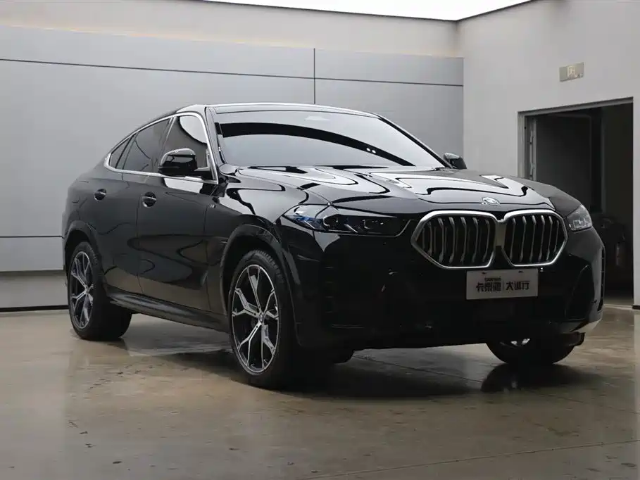 BMW X6 2023 xDrive40i M Sport Package