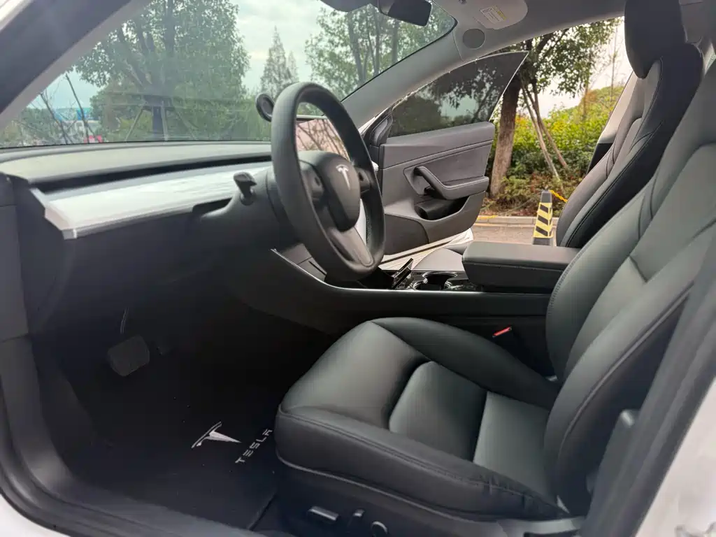 Model 3 2020 Standard Range Plus RWD
