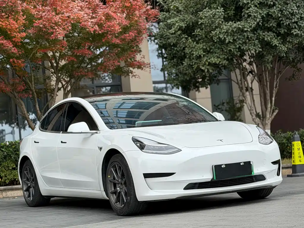 Model 3 2020 Standard Range Plus RWD