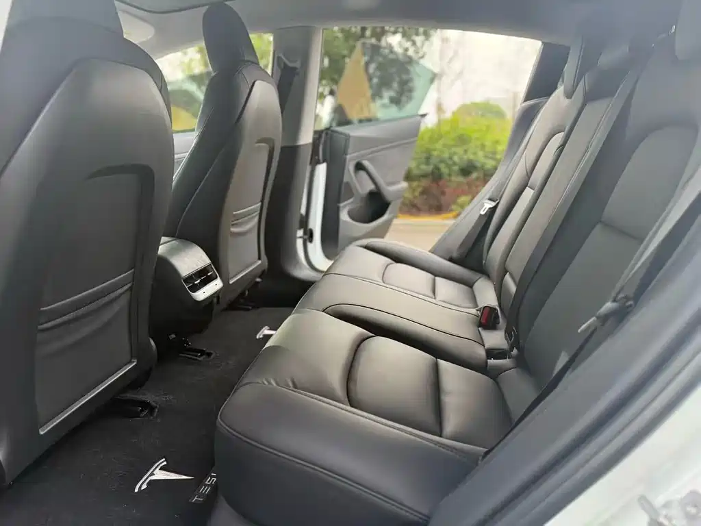 Model 3 2020 Standard Range Plus RWD