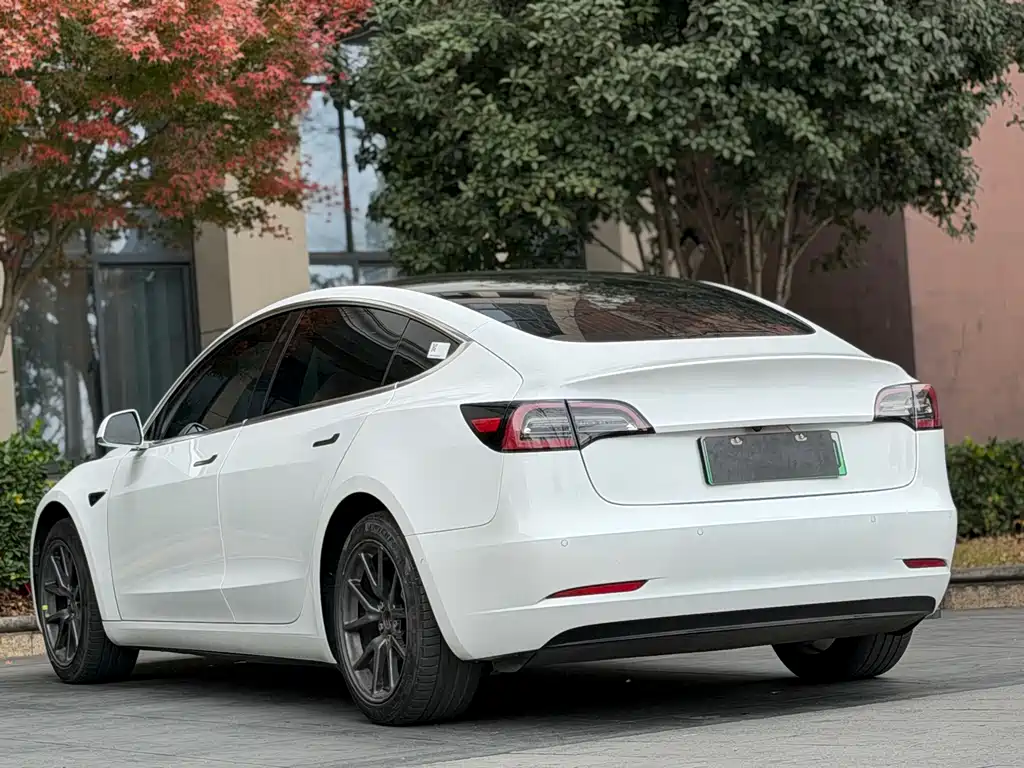 Model 3 2020 Standard Range Plus RWD