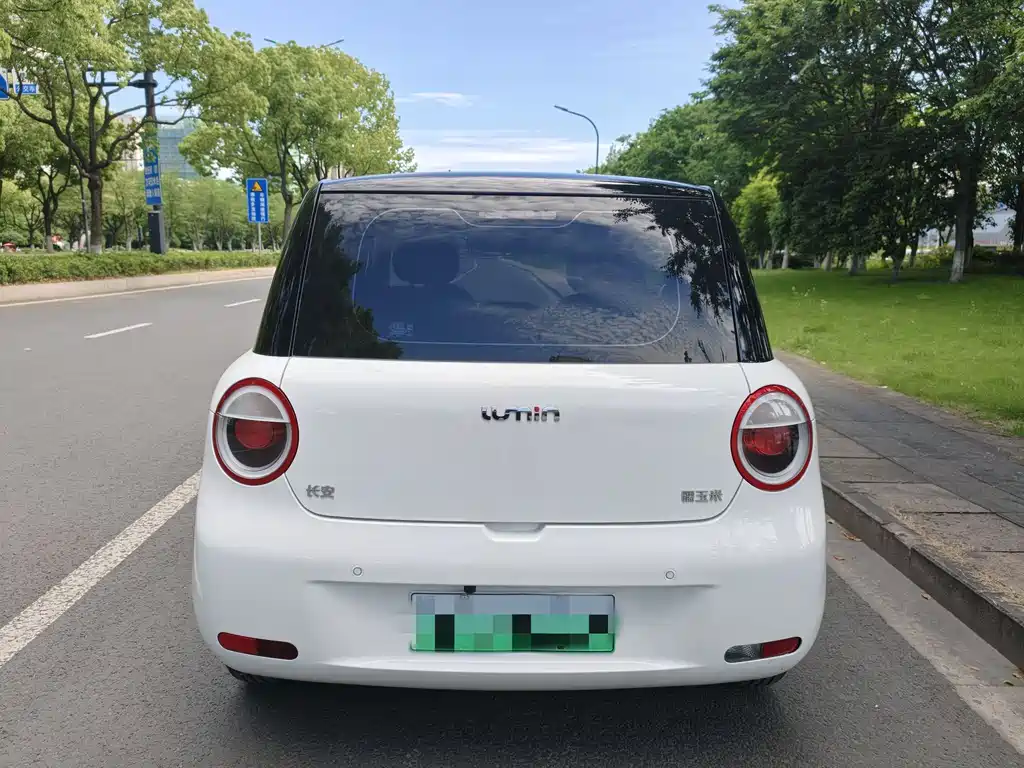 Changan Lumin 2024 205km Qihang Edition