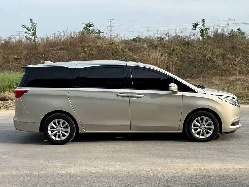 Buick GL8 2018 ES 28T Luxury Edition China VI