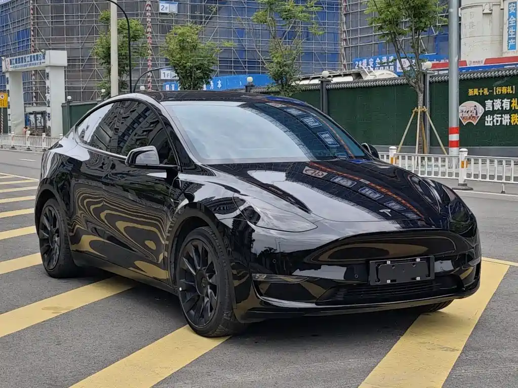 Model Y 2021 Standard Range RWD