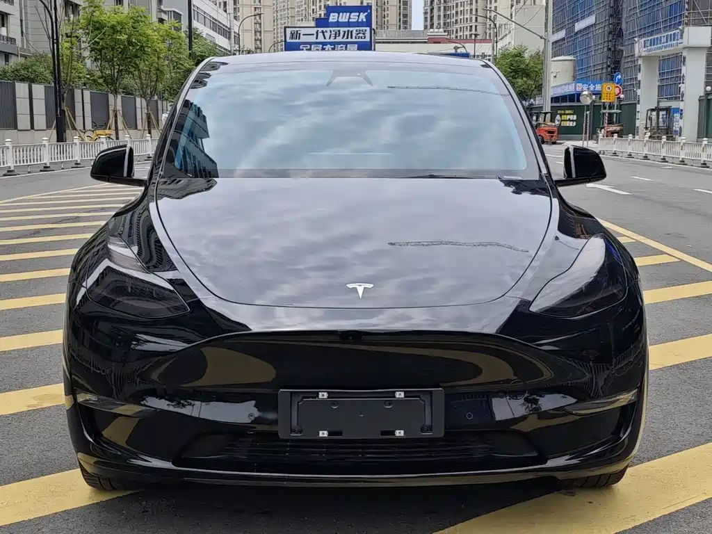 Model Y 2021 Standard Range RWD