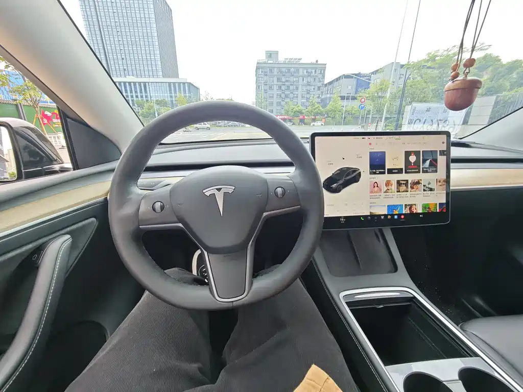 Model Y 2021 Standard Range RWD