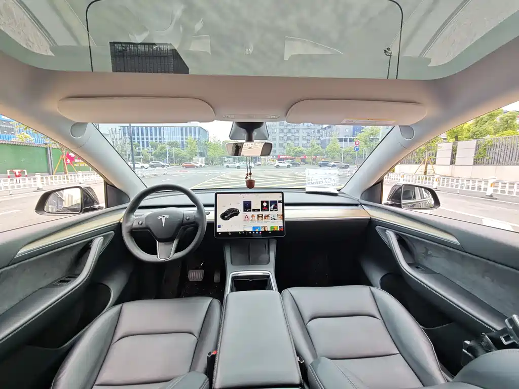 Model Y 2021 Standard Range RWD