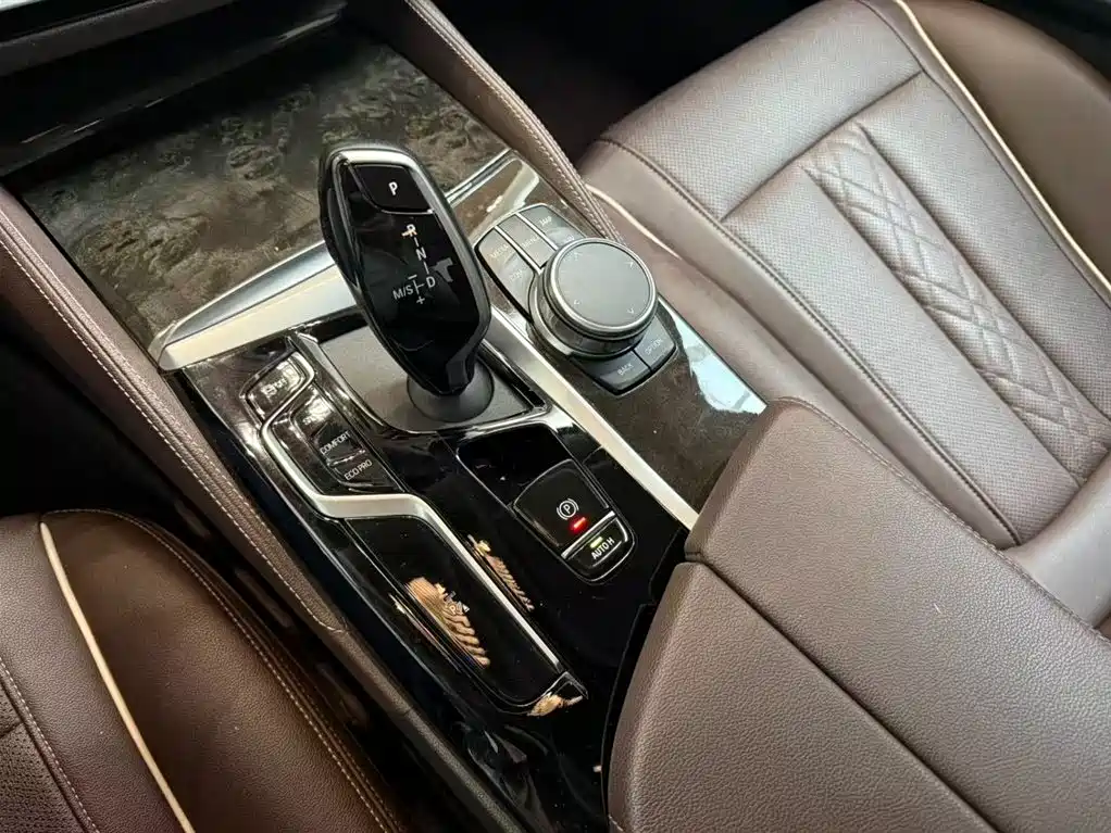 BMW 5 Series 2021 525Li Luxury Package