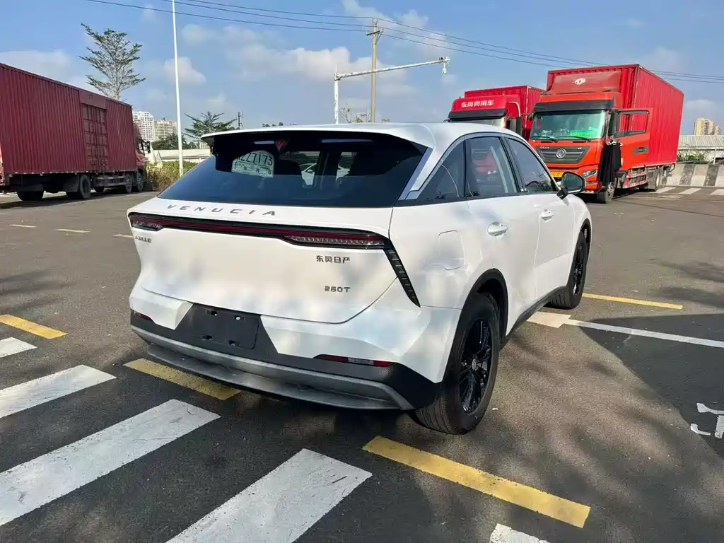 Venucia Big V 2022 260T Dark Horse Edition Aidou