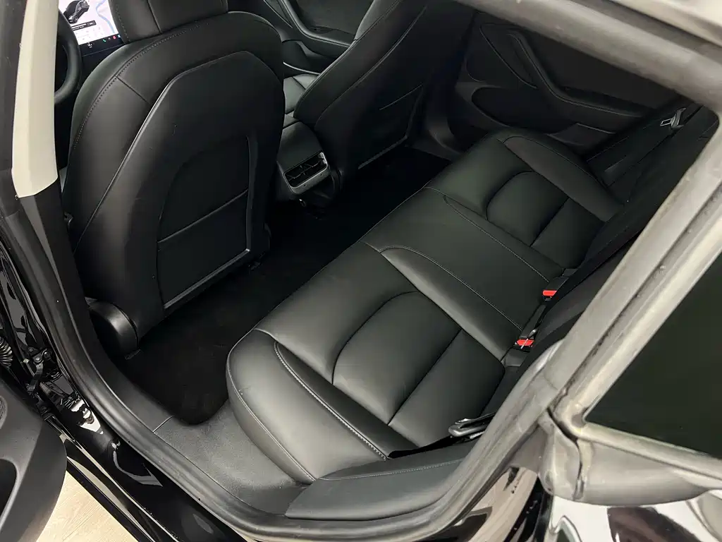 Model 3 2021 Performance AWD