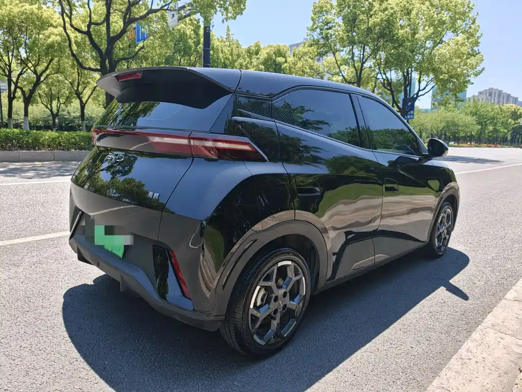 BYD Seagull 2025 305km Freedom Edition