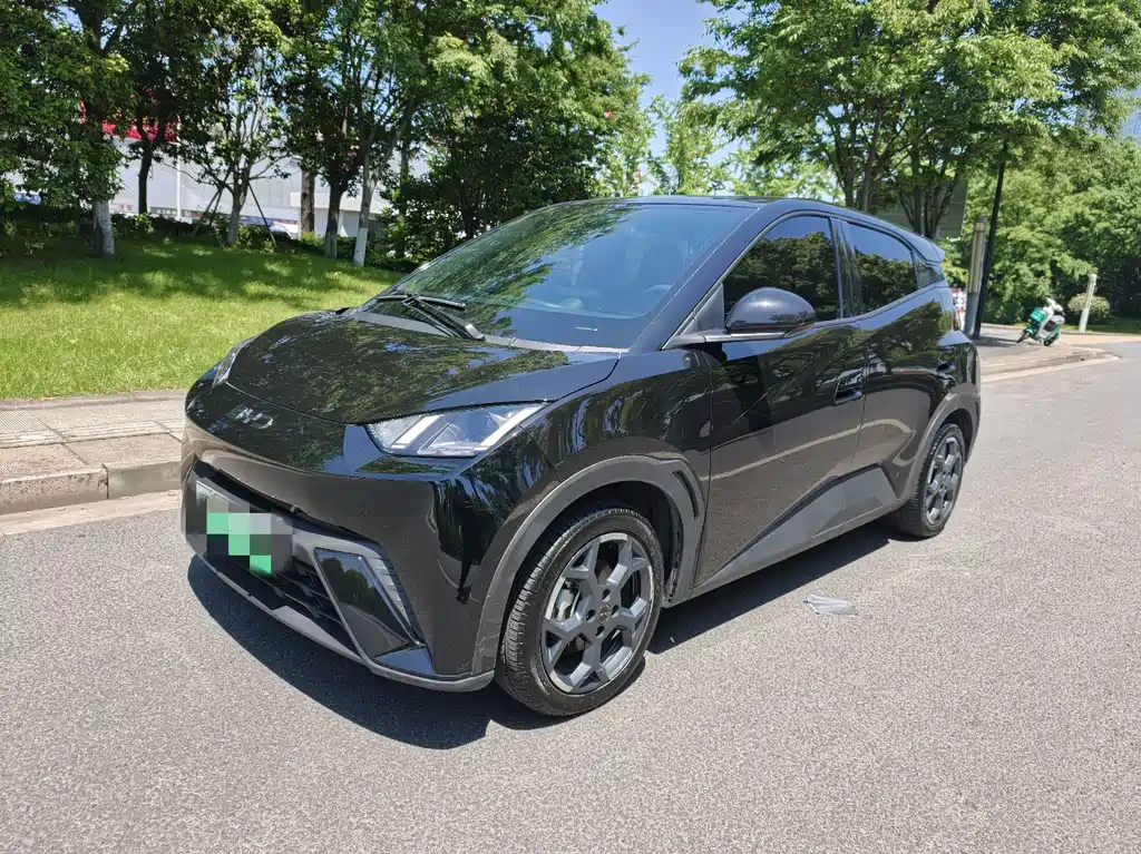 BYD Seagull 2025 305km Freedom Edition
