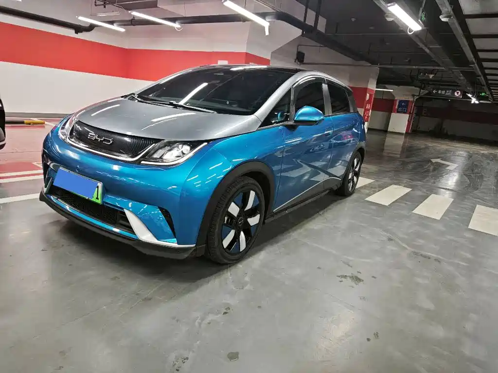 BYD Dolphin 2023 401km Knight Edition