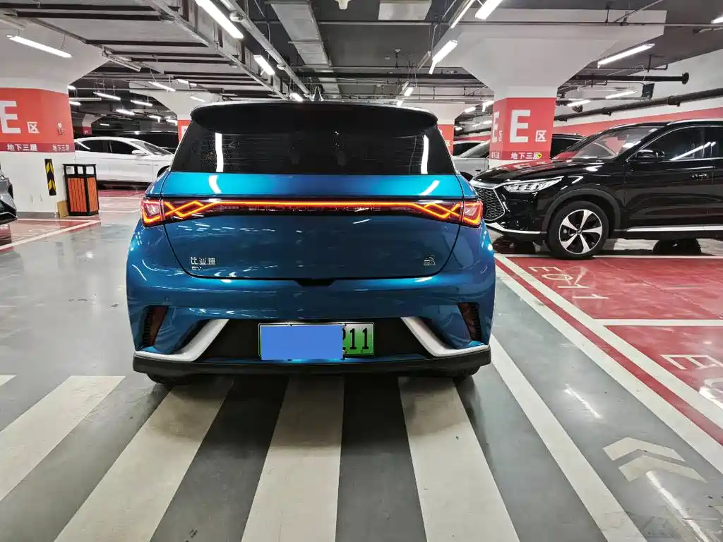BYD Dolphin 2023 401km Knight Edition