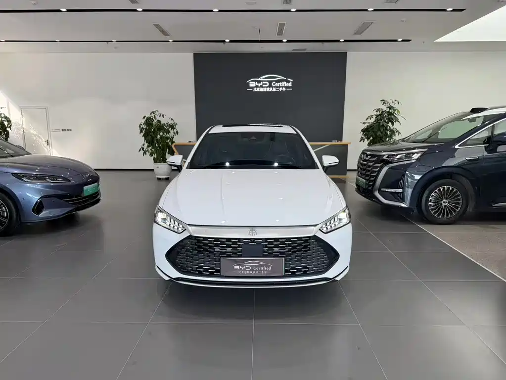 BYD Qin PLUS 2023 Champion Edition DM-i 120KM Excellence