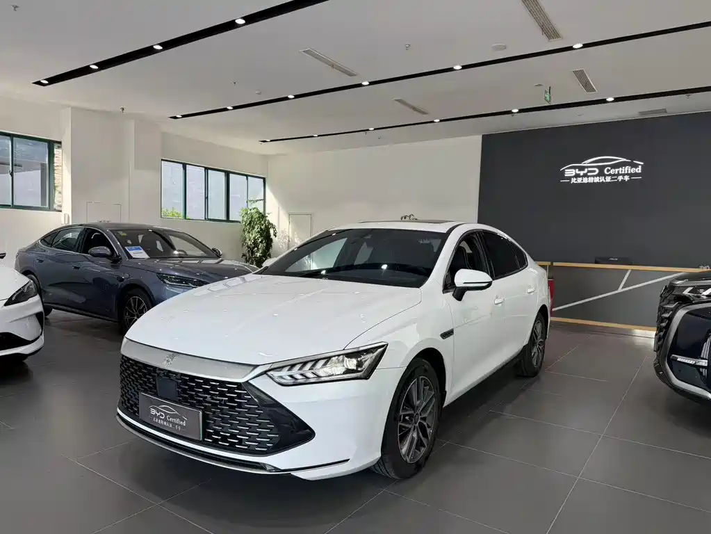 BYD Qin PLUS 2023 Champion Edition DM-i 120KM Excellence