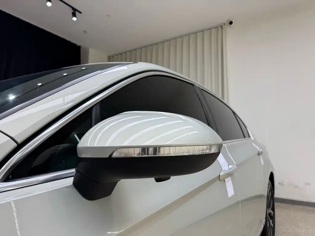 Magotan 2020 280TSI DSG Leading Edition
