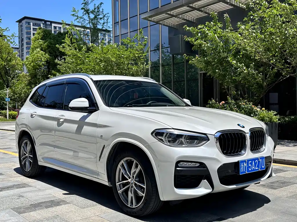 BMW X3 2018 xDrive25i M Sport Package China V