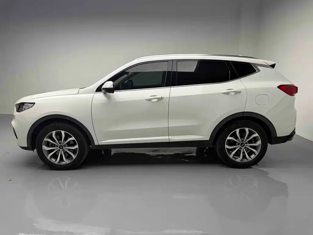 WEY VV6